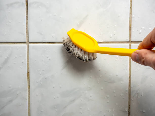 Reliable Bessemer City, NC Mold Removal Solutions