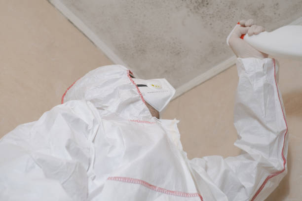Best Residential Mold Removal  in Bessemer City, NC