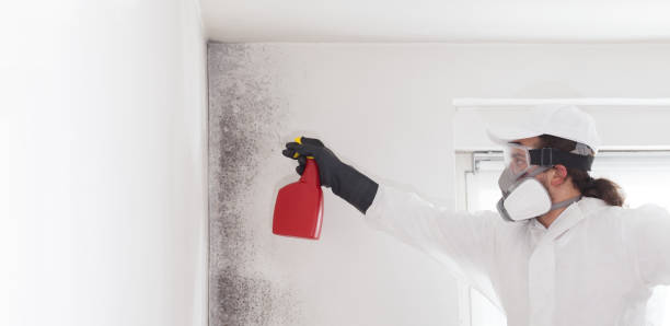 Best Crawl Space Mold Removal  in Bessemer City, NC