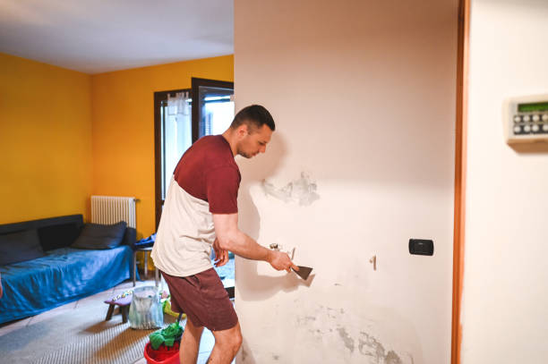 Best Mold Remediation  in Bessemer City, NC